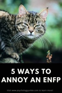 5 Ways to Annoy an ENFP - Psychology Junkie
