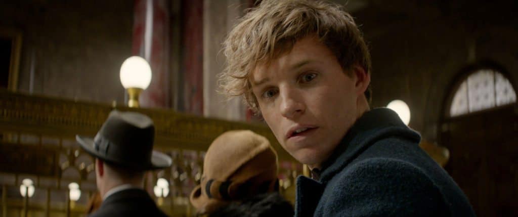 newt-scamander