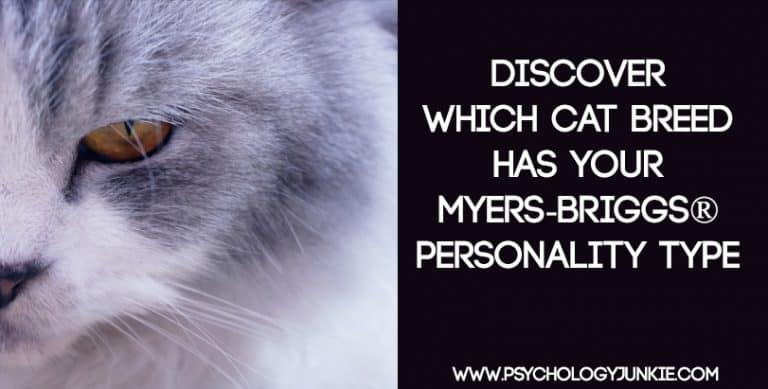 Which Cat Breed Fits Your Myers-Briggs® Personality Type