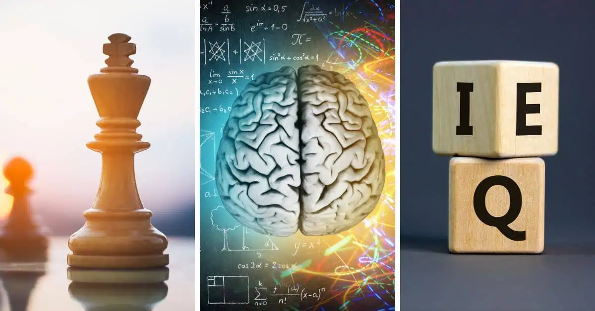 Get an in depth look at how each Myers-Briggs personality type uses their brain.
