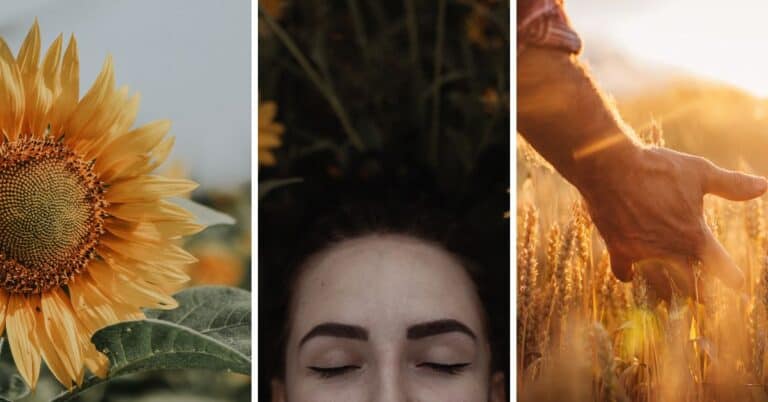 Discover the 10 signs that you're an introverted sensing (SJ) personality type. Find out what Si really means. #MBTI #Personality #ISTJ