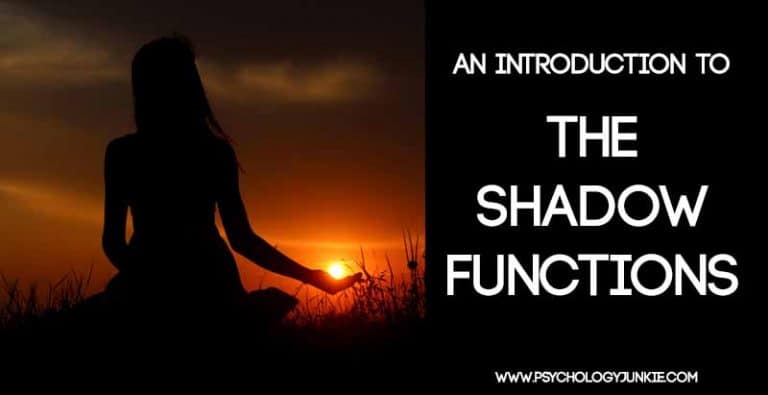 An Introduction to the Shadow Functions