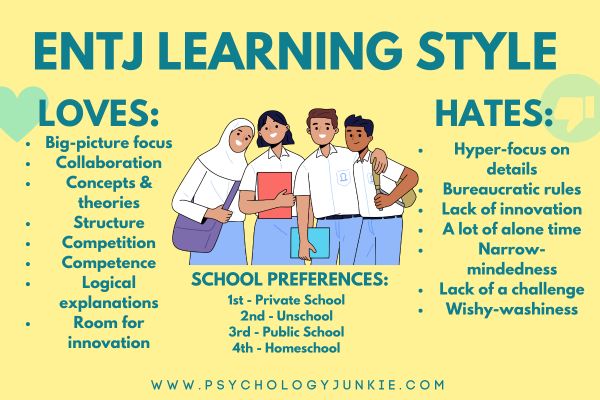 ENTJ learning style. They love competition, a challenge, a big picture perspective.