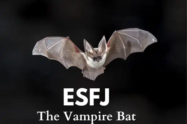 ESFJ Vampire Bat
