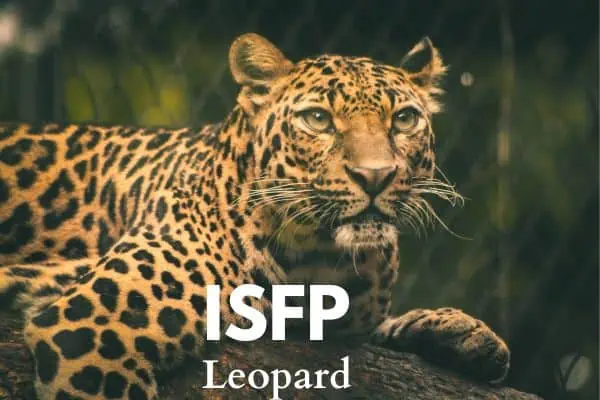 ISFP The Leopard