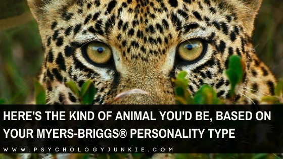 Here’s the Animal You’d Be, Based on Your Myers-Briggs® Personality Type