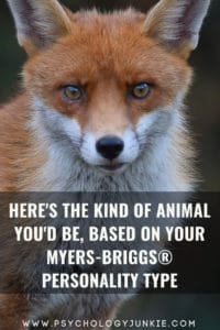 Discover which animal best matches your Myers-Briggs personality type. #MBTI #INFJ #INTJ #INFP #Personality