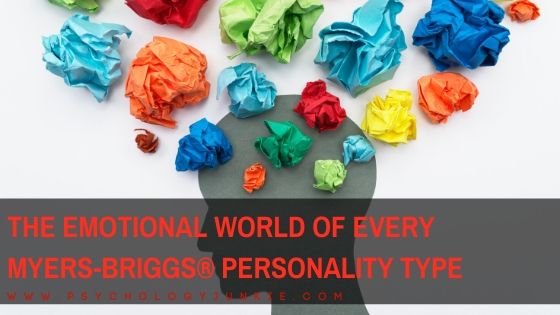 An in-depth look at the emotional world of each Myers-Briggs personality type. #MBTI #Personality #INFJ #INTJ #INFP #INTP