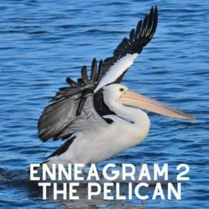 enneagram 2 pelican