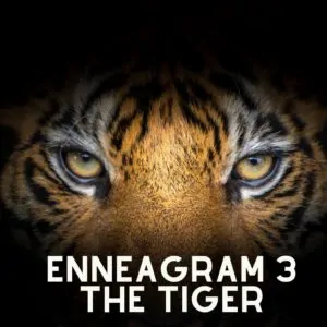 enneagram 3 tiger