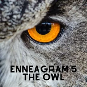 enneagram 5 owl