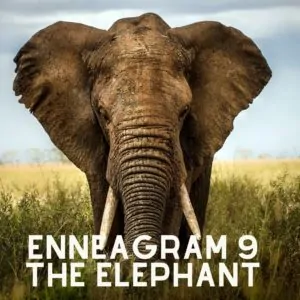enneagram 9 elephant