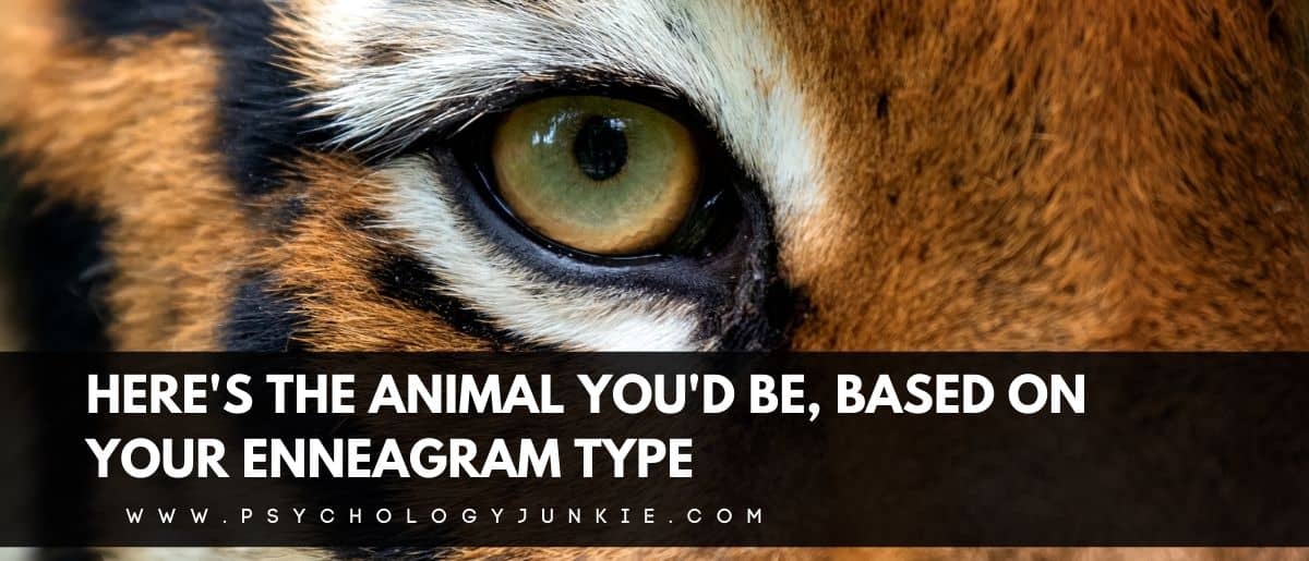 Here's the Animal You'd Be, Based On Your Enneagram Type - Psychology Junkie Here's the Animal You'd Be, Based On Your Enneagram Type - Psychology Junkie