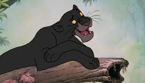 Bagheera ISTJ