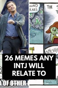 26 Memes Any Intj Will Relate To Psychology Junkie