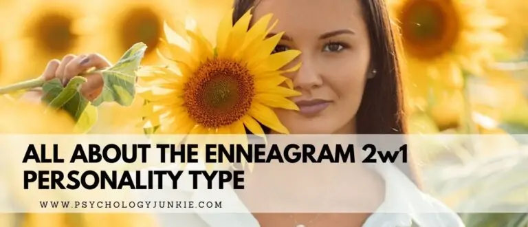 All About the Enneagram 2w1 Type
