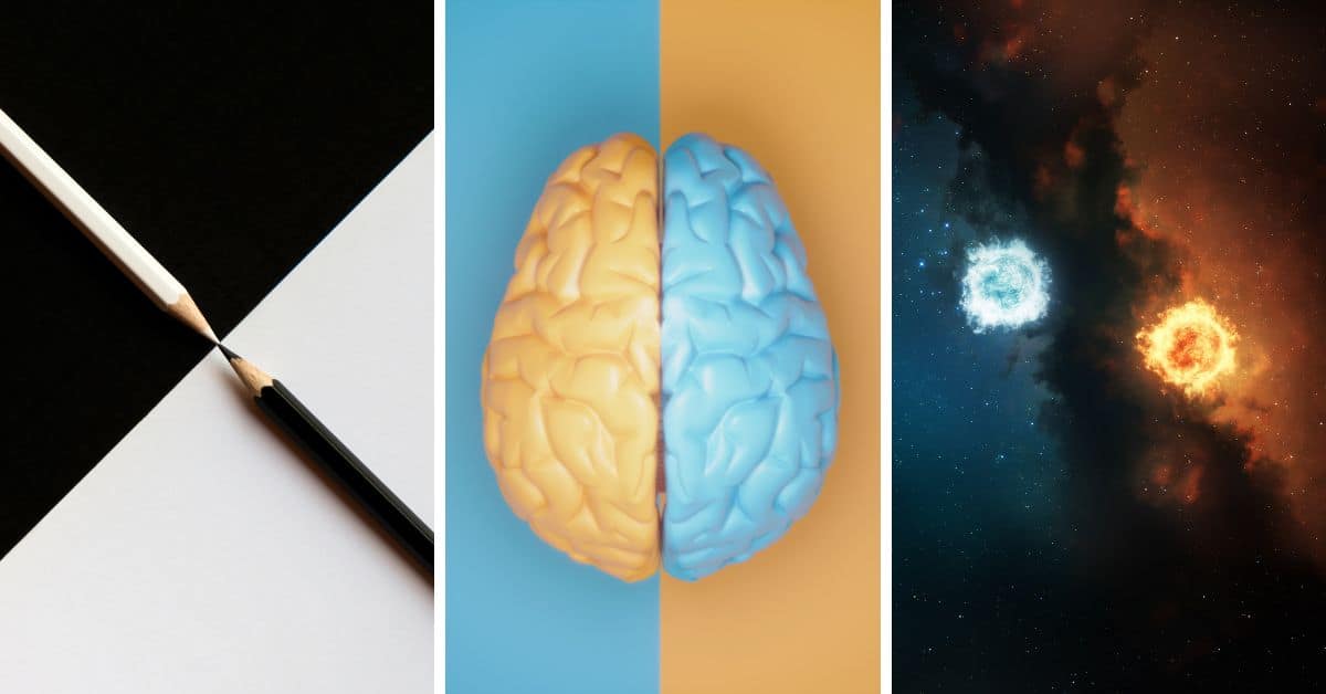 The Surprising Contradiction of Each Myers-Briggs® Personality Type ...