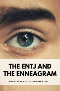Get an in-depth look at the nine Enneagram types and how they can show up within the ENTJ personality type. #MBTI #Personality #ENTJ
