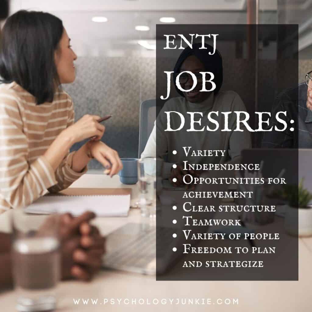 ENTJ Job Needs