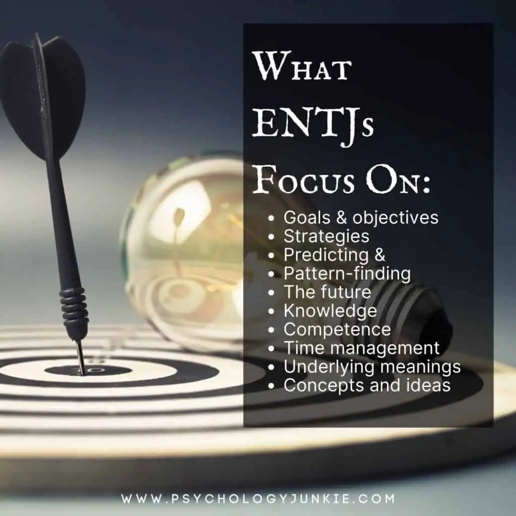 What ENTJs Naturally focus on