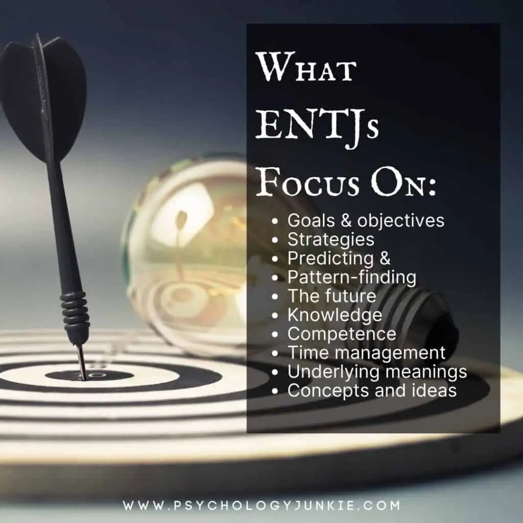 How Do I Know If I'm an INTJ or an ENTJ? – Like An Anchor