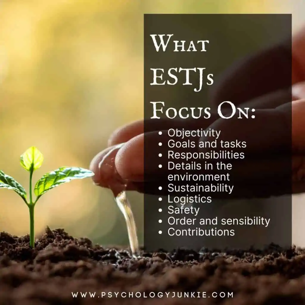 What ESTJs focus on