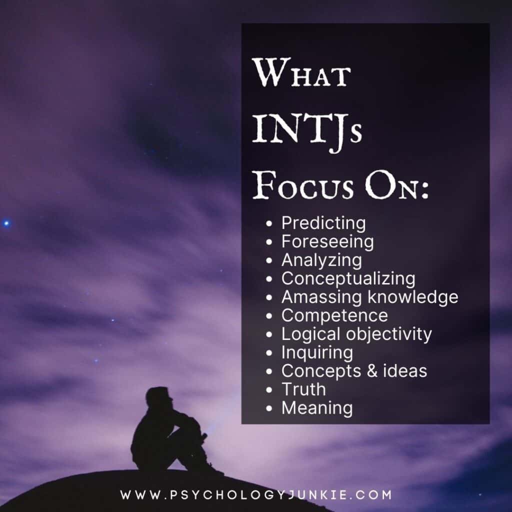 What INTJs focus on