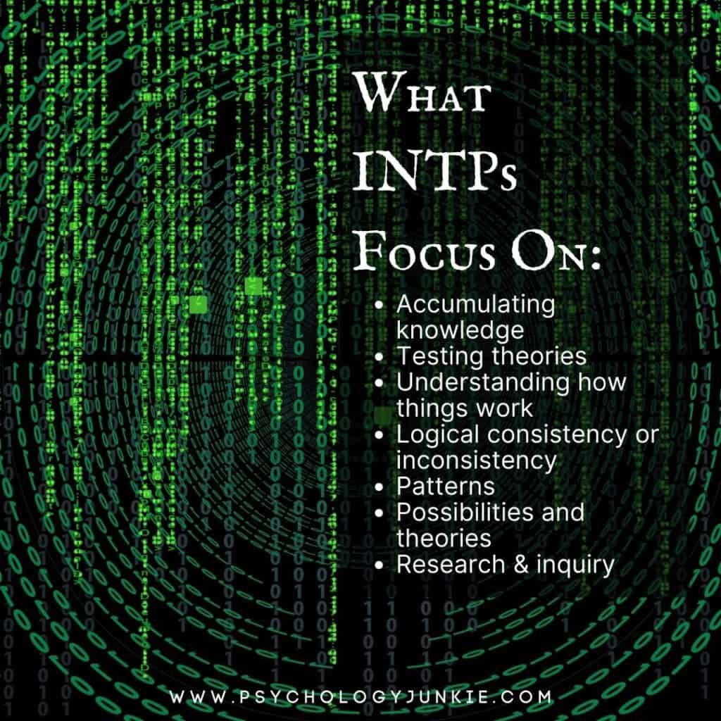 What INTPs Focus On