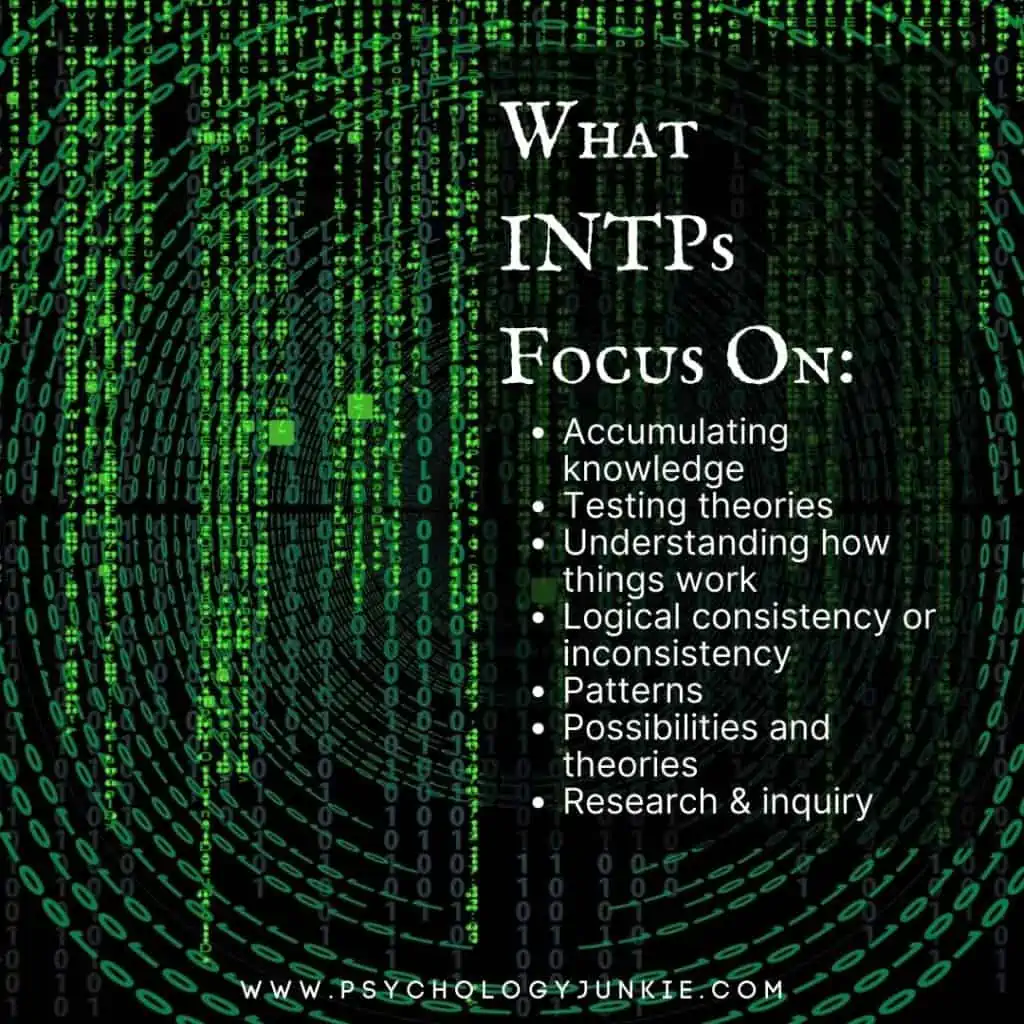 What INTPs Focus On