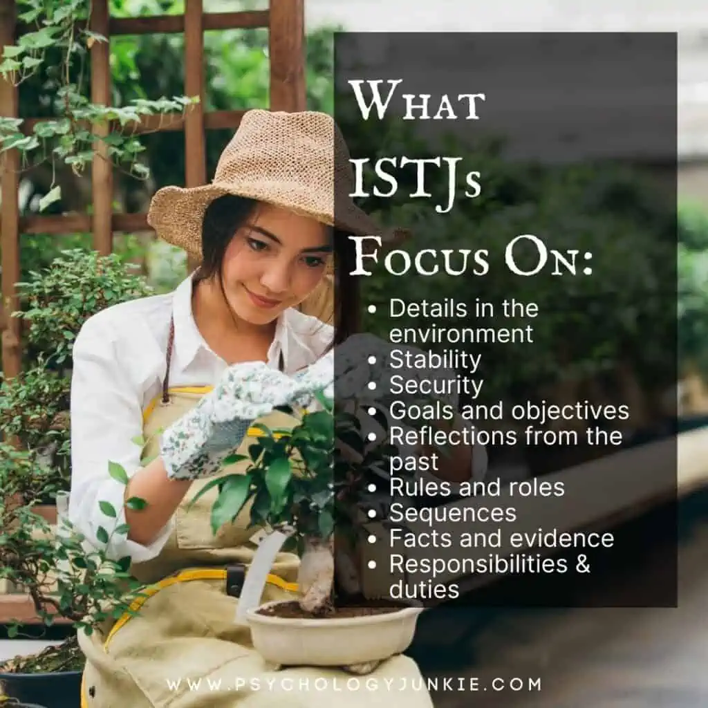 How ISTJs focus