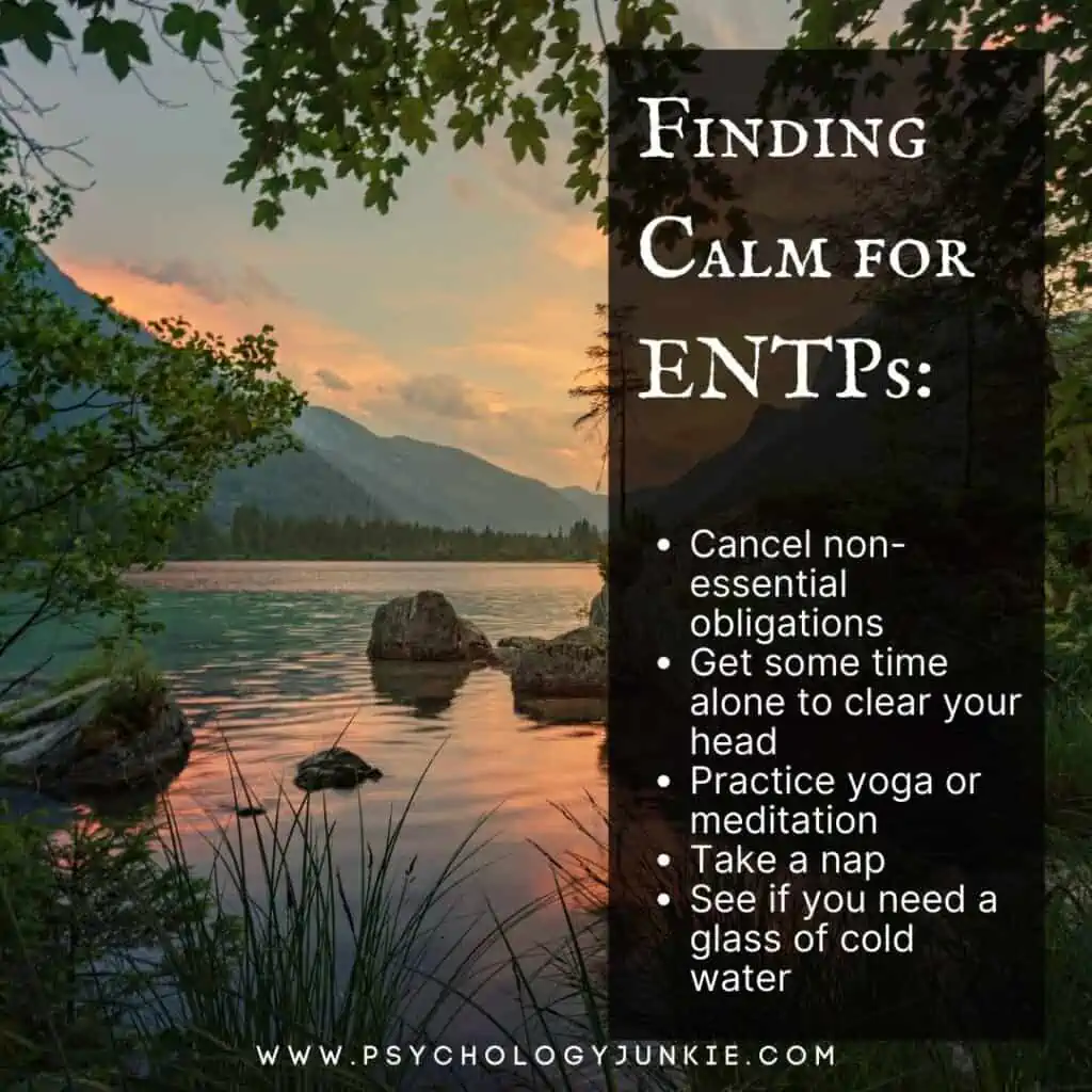 Finding calm for ENTPs