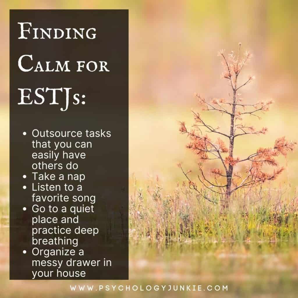 Finding calm for ESTJs