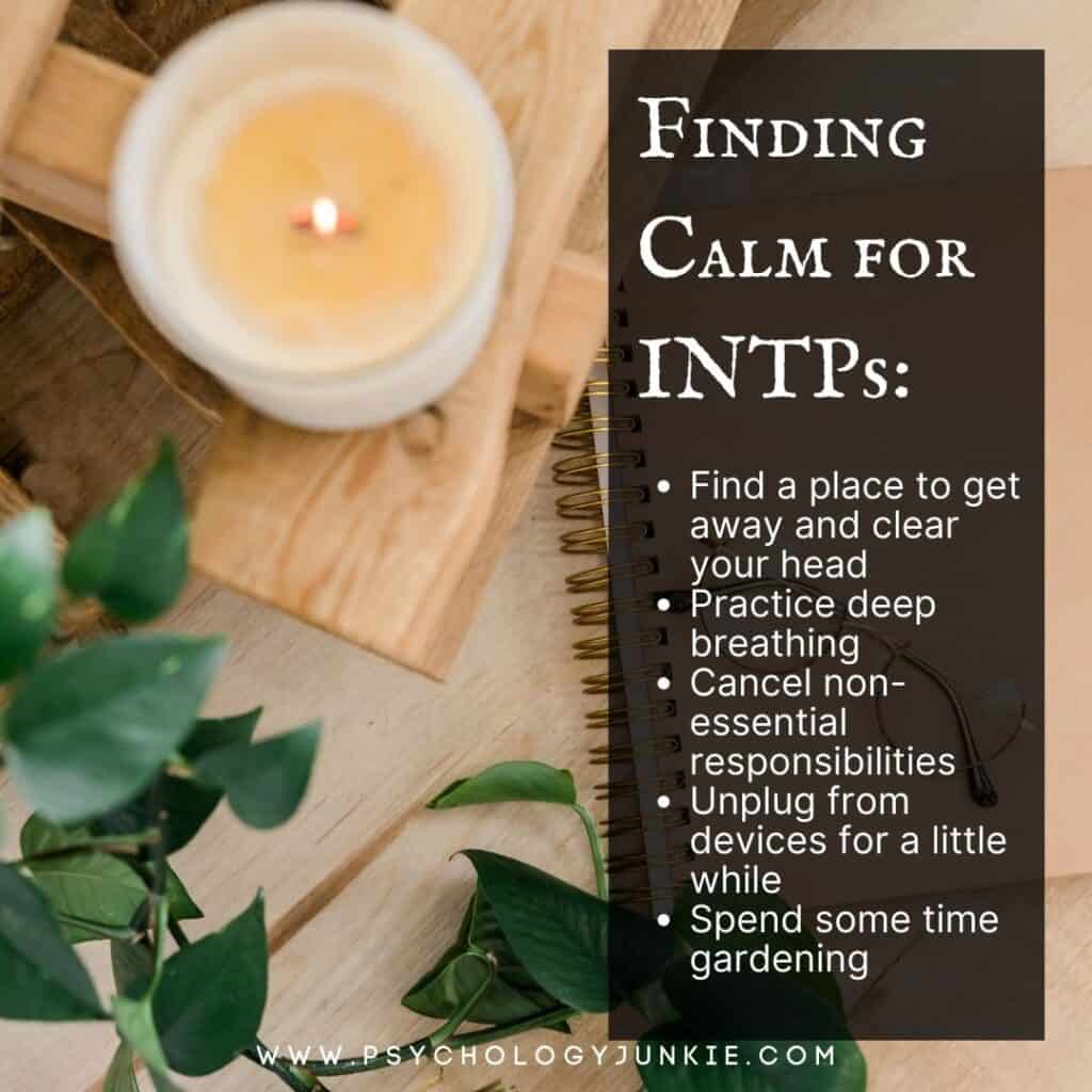 Finding calm for INTPs