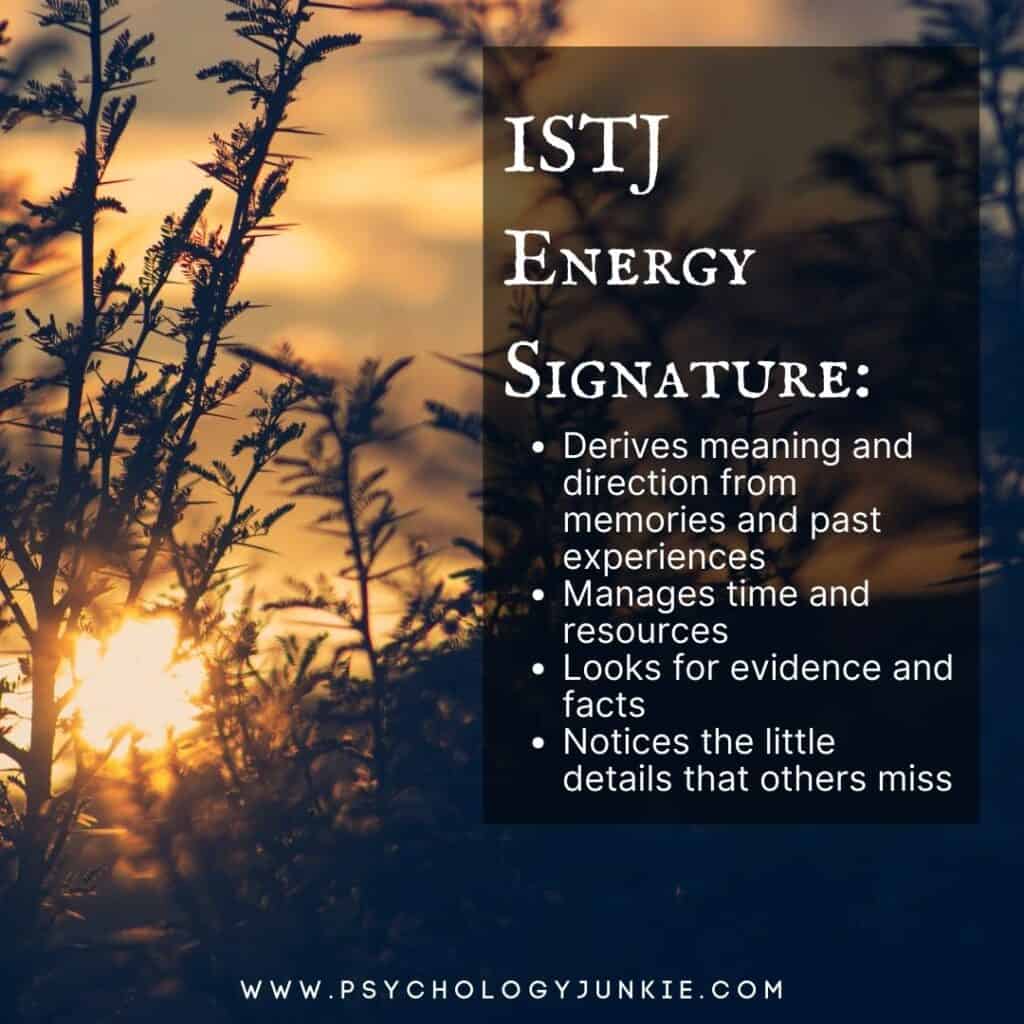 ISTJ Energy