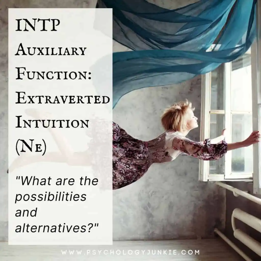 INTP Auxiliary Function Extraverted Intuition (Ne)