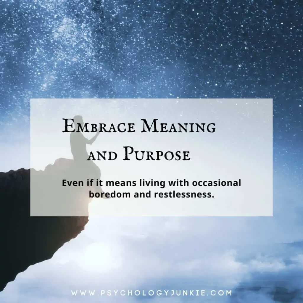 Embrace meaning and purpose even if means dealing with occasional boredom and restlessness