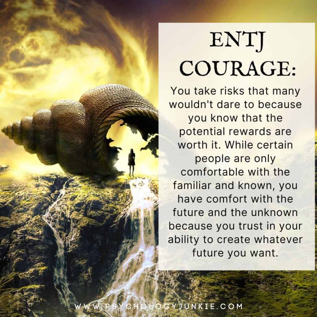 A look at ENTJ courage