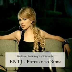 ENTJ Picture to Burn