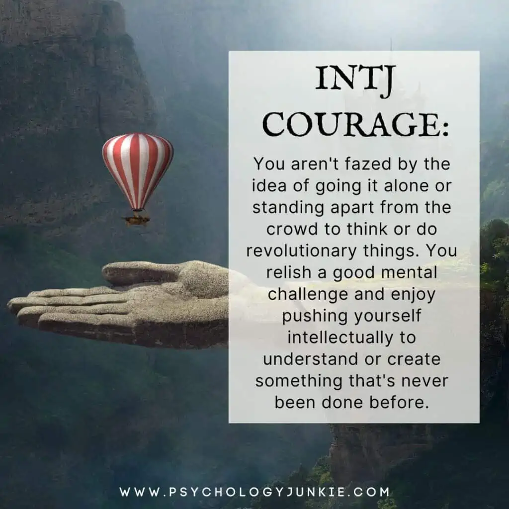The Courageous Architect (INTJ)