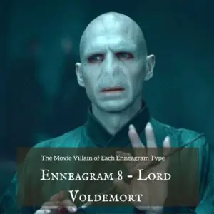 Enneagram 8 - Lord Voldemort