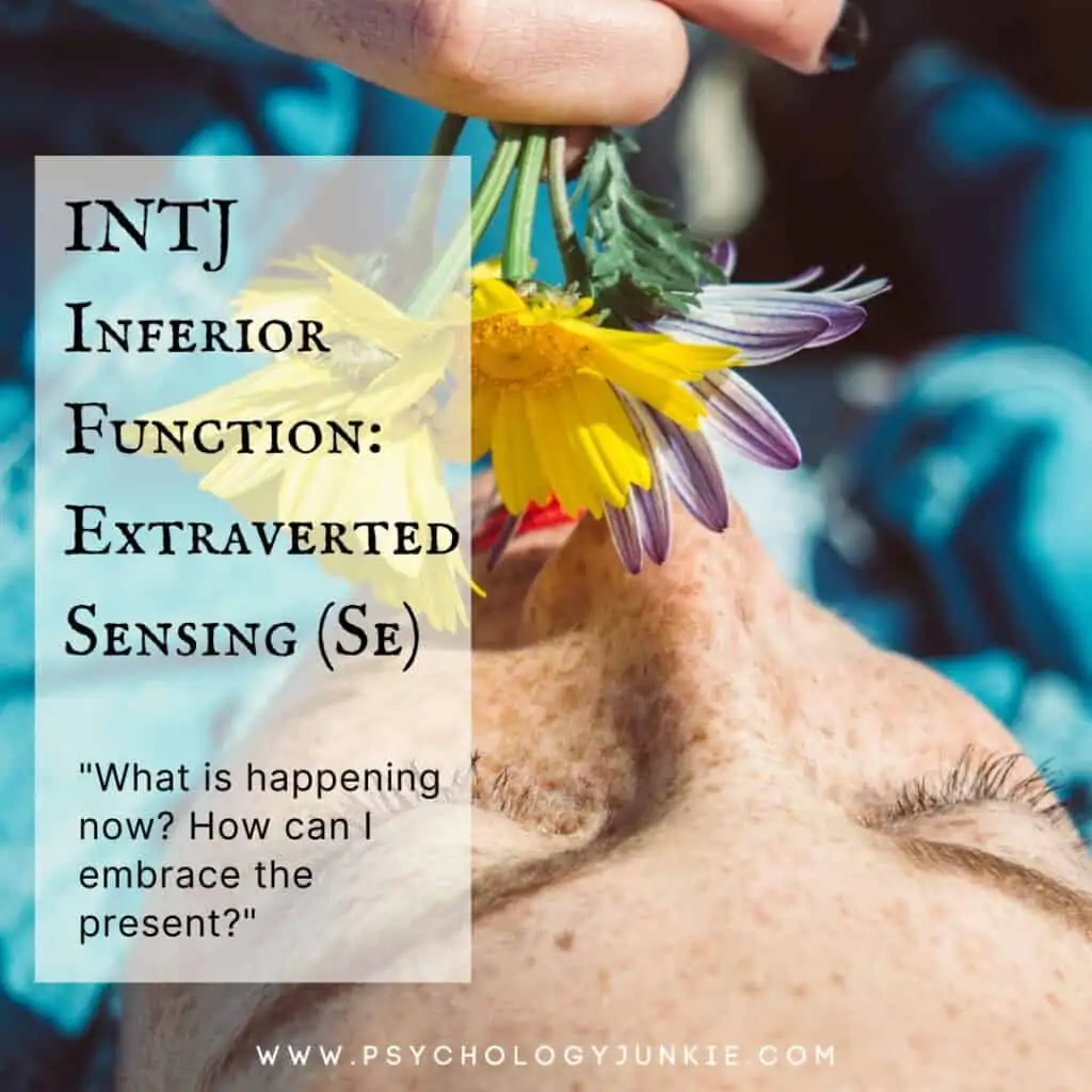 INTJ Inferior Function, Extraverted Sensing