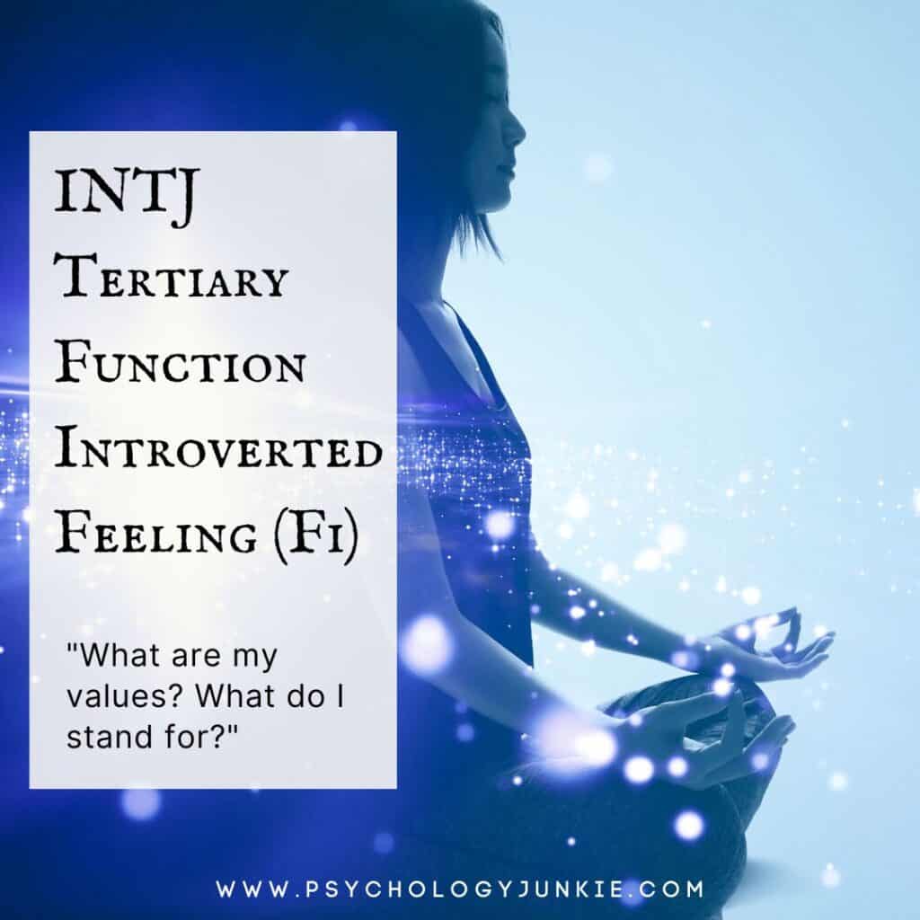 INTJ Tertiary Introverted Feeling