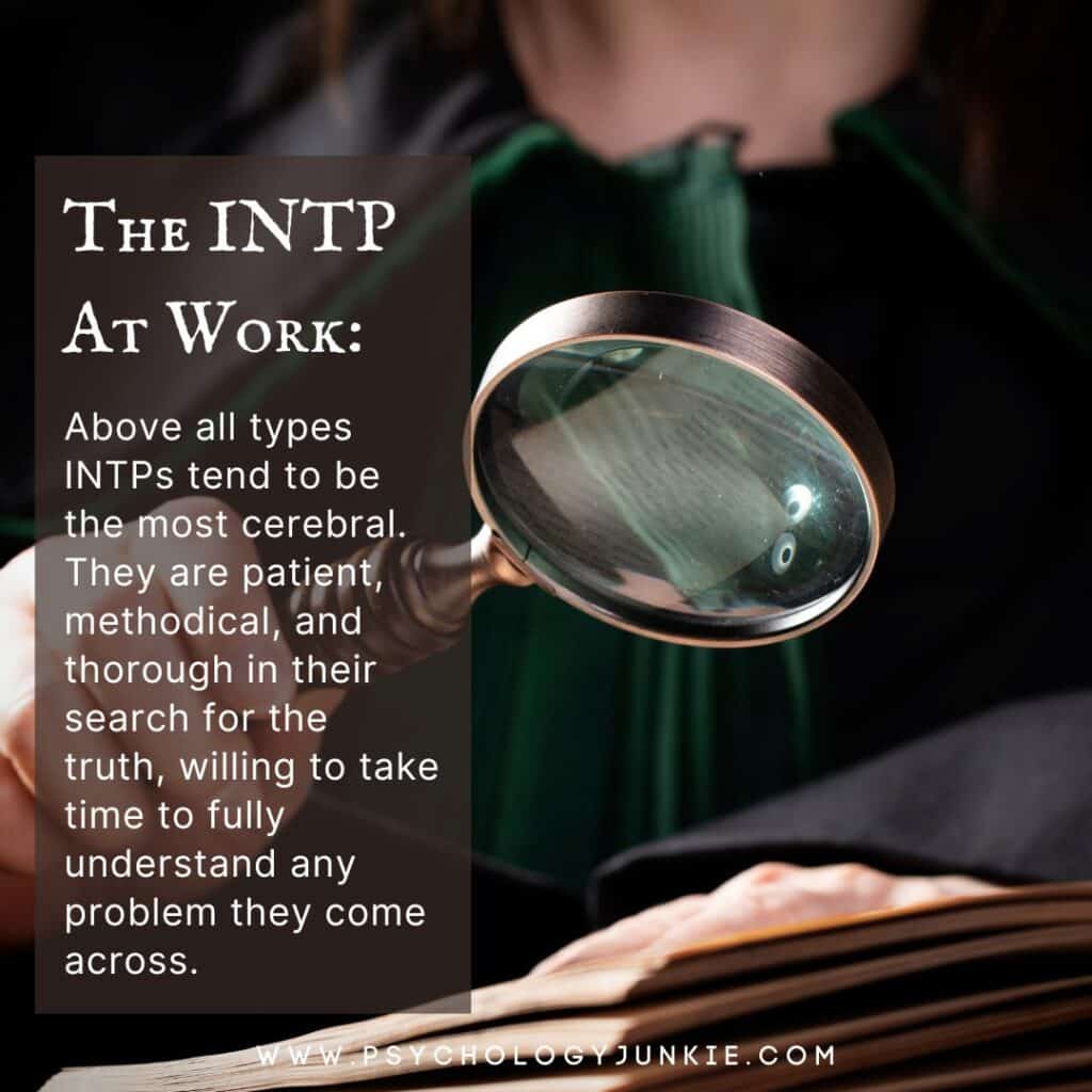A look at the INTP at work