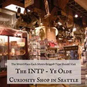 INTP Ye Olde Curiosity Shop