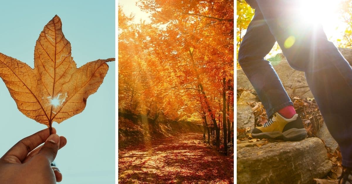 Find out how to make the most of your autumn, based on your Enneagram type #Enneagram #personality