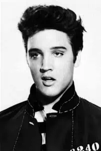 Elvis Presley stardom
