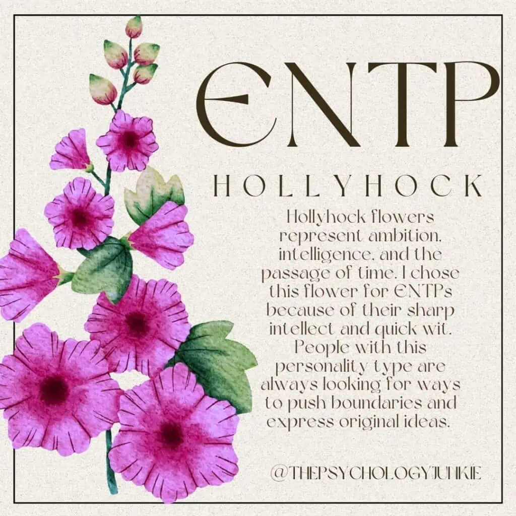 ENTP flower is the Hollyhock