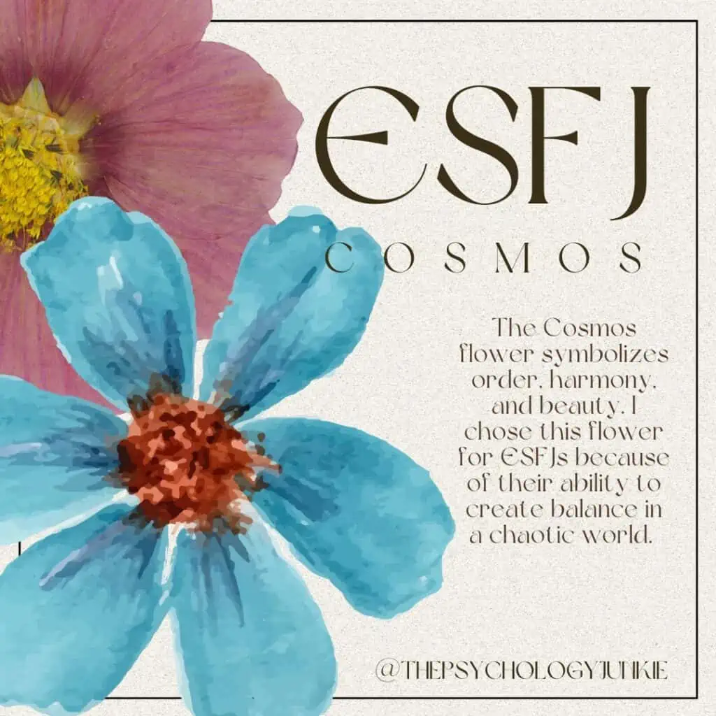 ESFJ flower is Cosmos