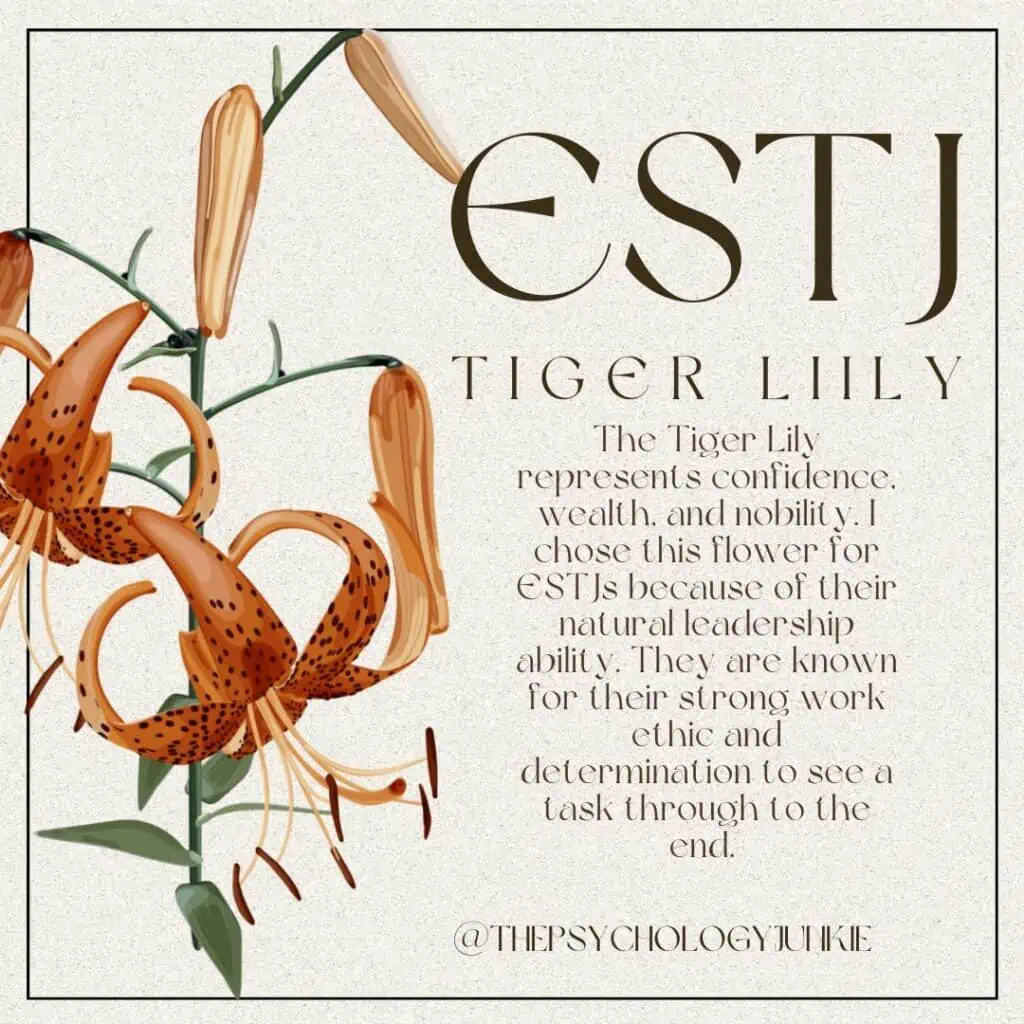 The ESTJ flower is the tiger lily