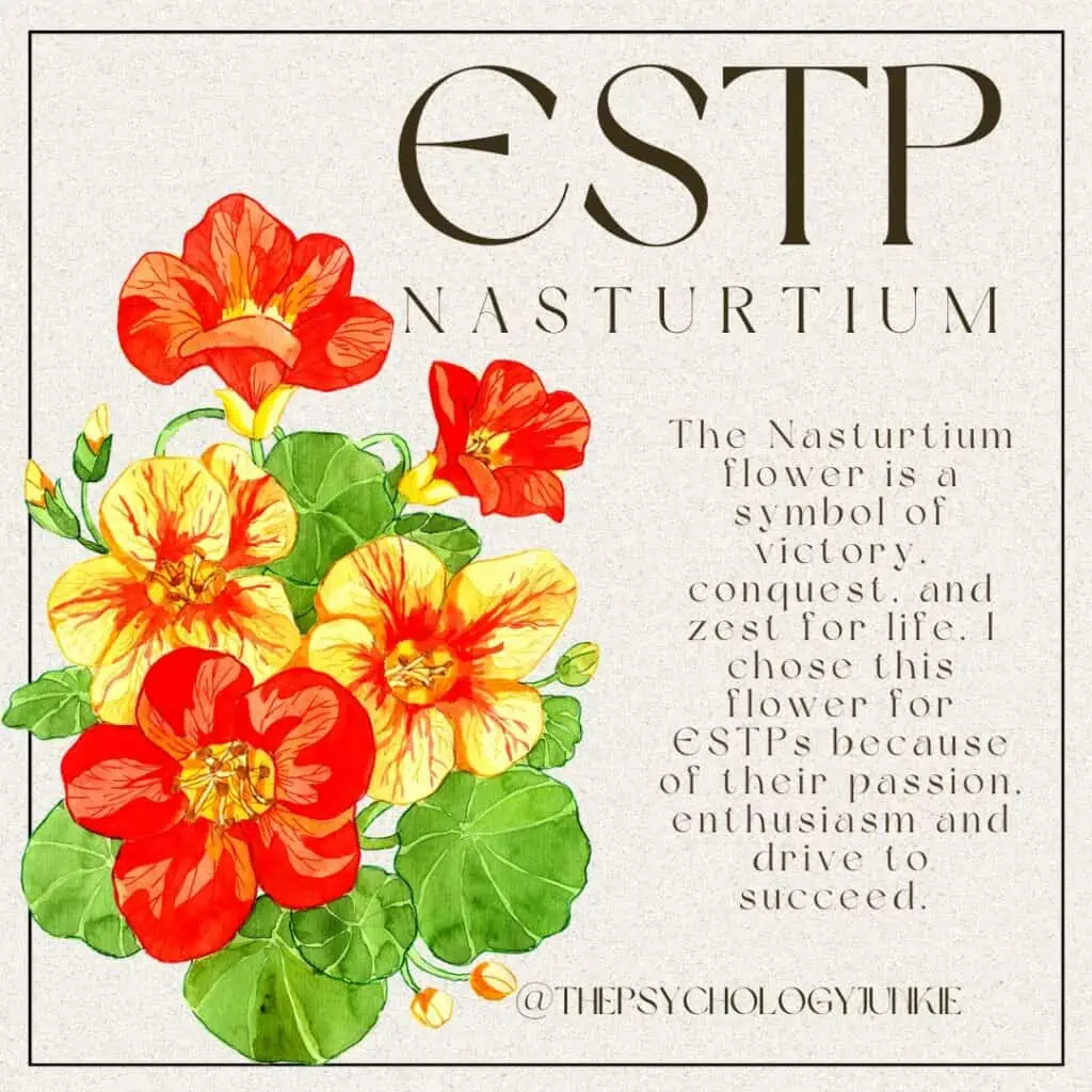 The flower for ESTP is Nasturtium
